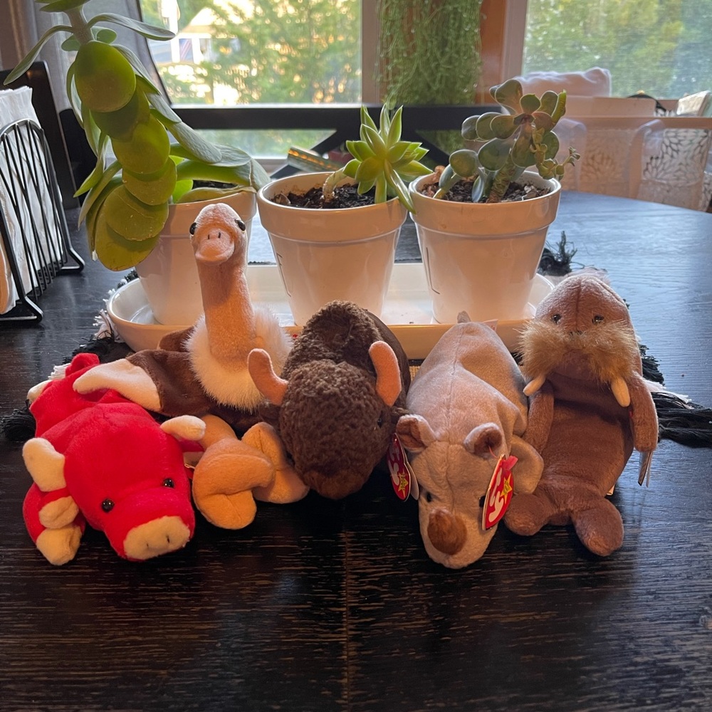 Assorted Beanie Baby Bundle
